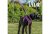 Ancol Dog Lead 100 x 1.9 Purple