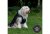 Ancol Stormguard Dog Coat - Black Small/Meduim