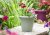 Clever Pots Round Plant Pot - 19/20cm Sage