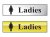 Scan Polished Chrome Effect Sign 200 x 50mm - Ladies