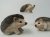 Giftware Trading Hedgehog Decoration - Assorted