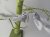 Giftware Trading Silver Clip-On Bird