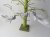 Giftware Trading Silver Clip-On Bird