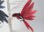 Giftware Trading Clip-On Hummingbird Decoration 12cm - Assorted