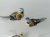 Giftware Trading Clip-On Blue Tit