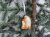 Giftware Trading Ceramic Penguin Tree Decoration 5cm