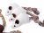 Petface Catkins Mini Mice (Pack of 6)
