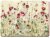 Creative Tops Premium Wild Field Poppies Std Placemats (Set 6)