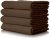 Dylon Fabric Dye for Hand Use - Espresso Brown