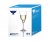 Ravenhead Avalon Set of 4 White Wine Glasses - 25cl