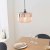 Willis 1light Pendant