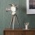 Pacific Lifestyle Hereford Film Tripod Table Lamp - Grey Wood and Silver Metal