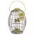 ChapelWood Ultra Squirrel Proof Seed Feeder