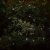 Smart Solar Decorative 50 Solar Strings Cool White String Lights