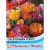 Thompson & Morgan Californian Poppy Jelly Beans