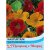 Nasturtium Tom Thumb Mixed