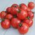 Tomato Gardeners Delight