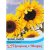 Thompson & Morgan Sunflower Russian Giant