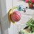 Flamboya Hangers On Decor Snazee Snail - Medium