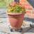 Smart Garden 33cm Elegance Pot Caddy - Black