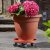 Smart Garden 29cm Pot Caddy - Tan