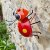 Flamboya Menagerie Hangers On Looney Ladybug Decor - Medium