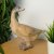 Elur Carved Wood Effect Goose 30cm
