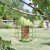 ChapelWood Acorn Squirrel Proof Peanut Feeder