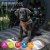 Ancol Herringbone Step In Dog Harness -Med 46-54cm