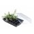 Garland Standard Propagator