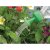 Garland Little Sprinklers - Pack of 2