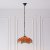 Dragonfly flame 3 light Pendant light