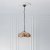 Dragonfly beige 3 light Pendant light