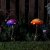 Flamboya GlowShrooms Stake - Assorted