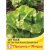 Thompson & morgan Lettuce All Year Round