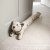 Sophie Allport Draught Excluder - Purrfect