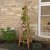 Smart Garden Woodland Obelisk 1.9m FSC 1 - Tan