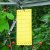 Defenders Greenhouse Insect Catcher - 5 Traps