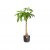 B.For Soft Round 14cm Anthracite Plant Pot