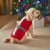Zoon SantaSuit Dog Jumper - 35cm