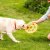 Zoon Tough Dog Toys - Dog Spinner 25cm