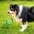 Zoon Tough Dog Toys - Rubber Links