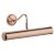 Oaks Lighting SES Picture Light Copper