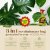 Baby Bio Houseplant Bug Killer Ultra
