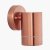 Pacific Lifestyle Lantana Metal Fixed Spot Wall Light - Copper