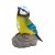 Smart Garden Solar Garden Bird Spotlights - Assorted