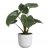 Elho Jazz Round 19cm Silky White Plant Pot