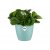 Elho Brussels Round Mini 10.5cm Mint Plant Pot