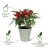 Elho Green Basics Growpot - 27cm Leaf Green