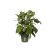 Elho Green Basics Growpot - 27cm Leaf Green